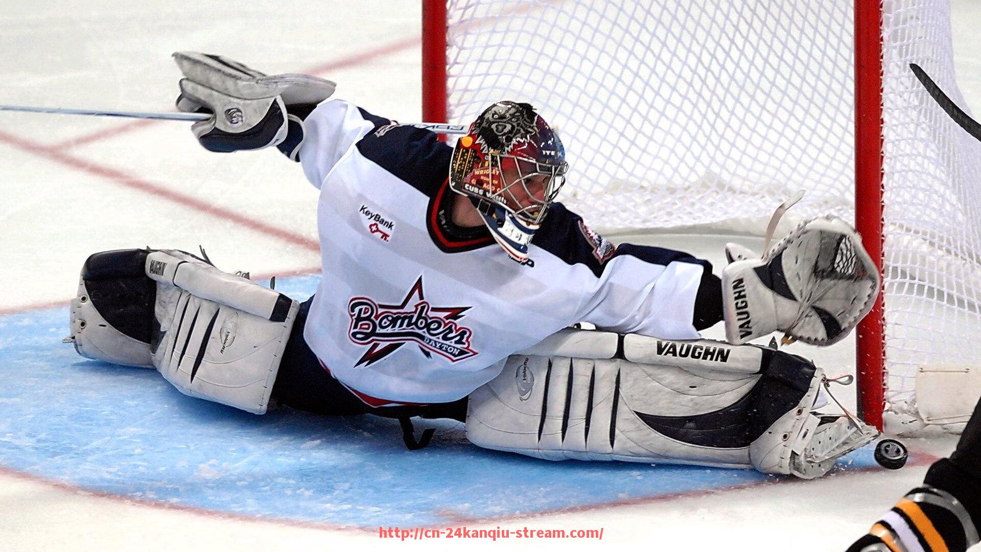 24看球直播网-法甲外援历年转会记录整理：转会费、出场率与贡献度分析